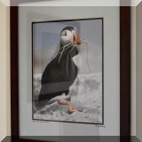 A38. Signed Sandy Selesky puffin photograph. Frame: 22”h x 18”w